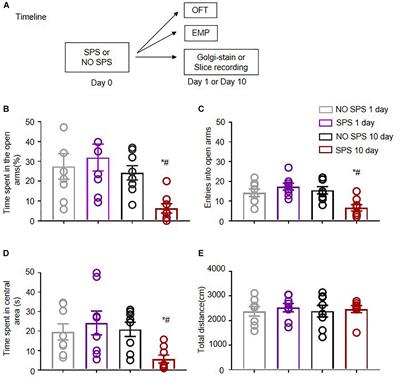 Traumatic Stress Produces Delayed Alterations of Synaptic Plasticity in Basolateral Amygdala